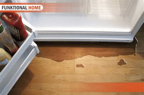 leaking fridge|How to Fix a Refrigerator That Is Leaking Water